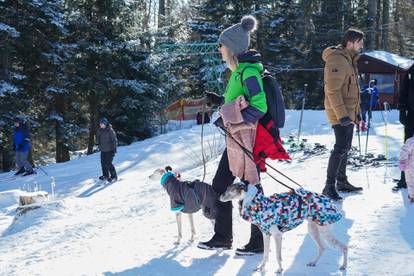 FOTO Skijaši ponovno osvajaju Sljeme: Neki su poveli i pse, a gužva je bila i u redu za žičaru